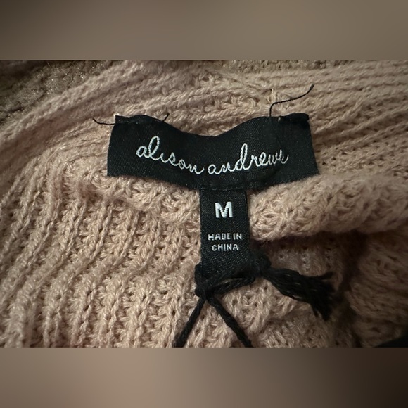 Alison Andrews Women’s Beige Pullover Sweater Twisted Back V-neck Pearls Size M - Picture 10 of 13